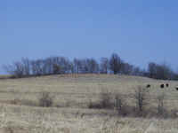 battlesite.jpg (155618 bytes)
