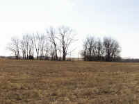 farm1.jpg (198042 bytes)